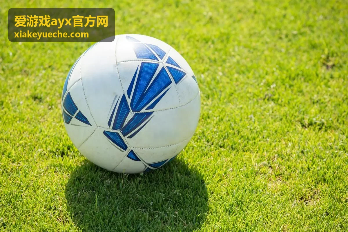 爱游戏ayx官方网服务与常见问题配图