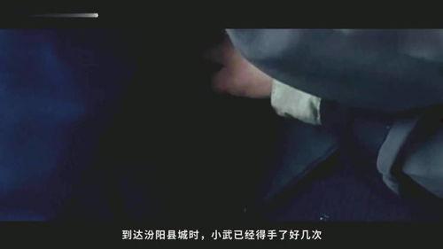 国产片在线播放,在线播放平台上的精彩呈现  第3张