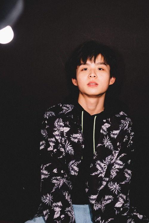 娱乐圈吃瓜隐喻